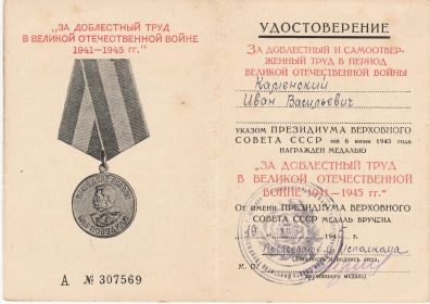 Медаль «За доблестный труд в Великой Отечественной войне 1941—1945 гг.»