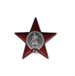 Медаль «За боевые заслуги», медаль «За Отвагу», Орден Красной Звезды