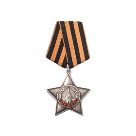 Орден Славы III степени