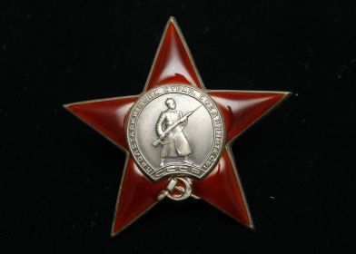Представлен к награде "Орден Красной Звезды"