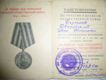 медаль за победу над Германией в Великой Отечественной войне 1941-1945гг