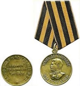 Медаль «За победу над Германией в Великой Отечественной войне 1941—1945 гг.»