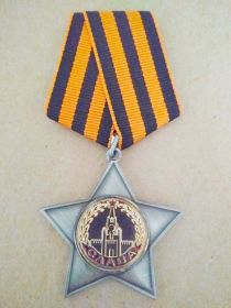 Орден Славы II степени. 5 мая 1945 г.  830 сп 238 сд