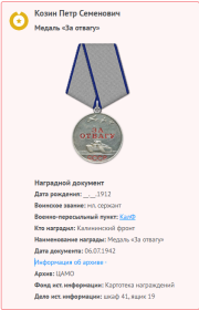 медаль"За отвагу"