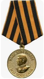 Медаль "За победу над Германией в Великой Отечественно войне 1941-1945 гг."
