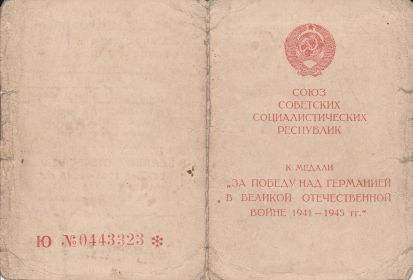 Медаль «За победу над Германией в Великой Отечественной войне 1941—1945 гг.»