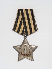 Орден Славы III степени (08.02.1945г.)