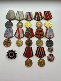 За отвагу; За взятие Берлина; За освобождение Варшавы; За оборону Кавказа;