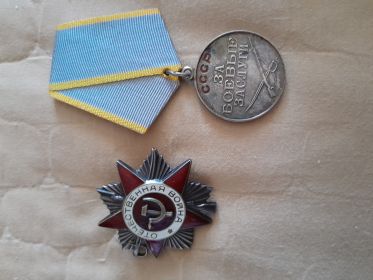 Орден Отечественной войны и медали
