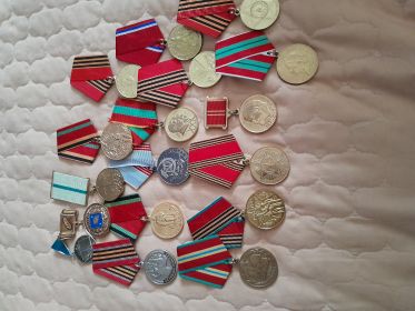 Множество других наград военных юбилейных