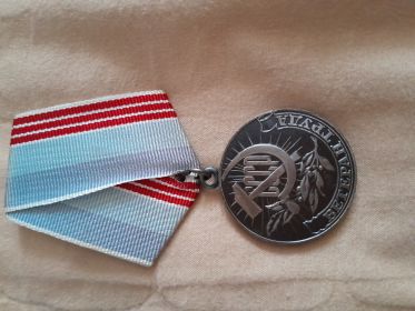 За доблестный труд