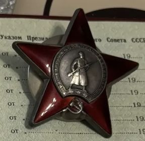 Орден красной звезды N3078790