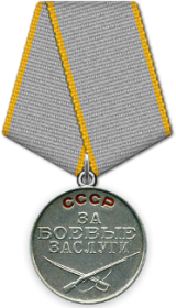 <p style="text-align: center;">Медаль «За боевые заслуги» № 2704418</p>