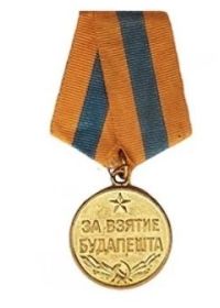 Медаль «За Взятие Будапешта»