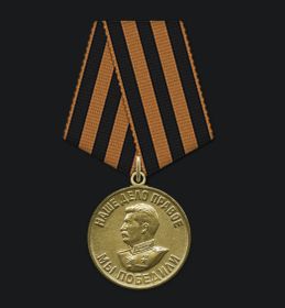 Медаль «За победу над Германией в Великой Отечественной войне 1941–1945 гг.»