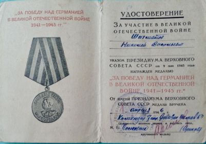 Медаль За победу над Германией