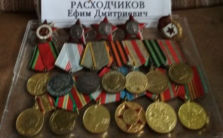 Орден Красной Звезды (2) (4) Медаль «За боевые заслуги» (2) Медаль «За победу над Германией в Великой Отечественной войне 1941–1945 гг.» (2) Медаль «За взятие Кенигсберга» (2) Медаль «За осв