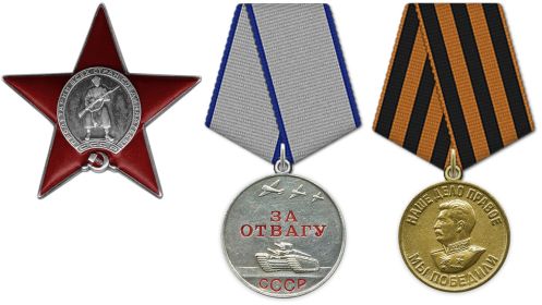 Орден Красной Звезды 1943г. Медаль «За отвагу» 1944г. Медаль «За победу над Германией в Великой Отечественной войне 1941–1945 гг.» 1945г.