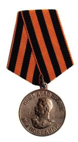 Медаль "За победу над Германией в Великой Отечественной войне 19411945 гг."