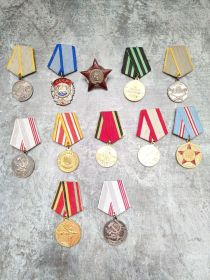 медали " За отвагу", "За боевые заслуги", " за взятие Кёнигсберга","За победу над Германией", " за участие в разгроме Японского агрессора",орден "Красная звезда"