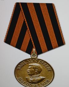 Медаль За победу над Германией