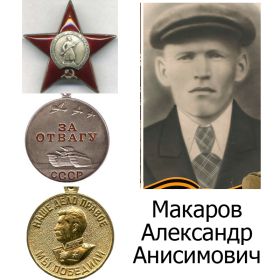 Орден Красной звезды; Медаль "За отвагу"
