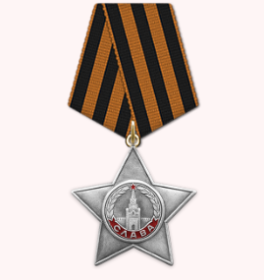 Орден Славы III степени (Номер документа: 30/н)