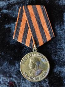 Медаль «За победу над Германией в Великой Отечественной войне 1941-1945 гг.»