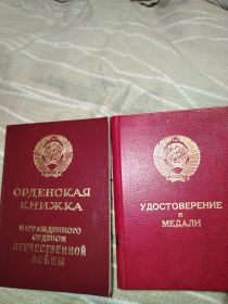 Орден Отечественной войны, медаль за отвагу