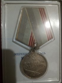 Медаль за боевые заслуги