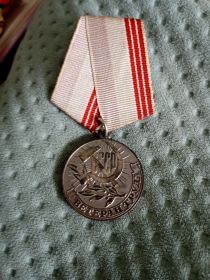 5.Медаль Ветеран труда