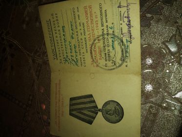 Медаль За победу над Германией в Великой Отечественной Войне 1941-1945г.