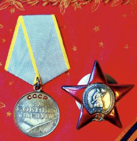 Медаль за Победу над Германией в Великой Отечественной Войне 1941-1945