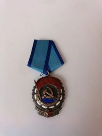 Орден Трудового Красного знамени, Медаль “за трудовое отличие, Медаль “Ветеран труда Медал