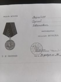 Медаль Жукова