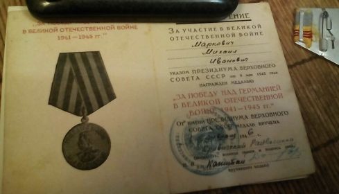 Медаль за Победу над Германией