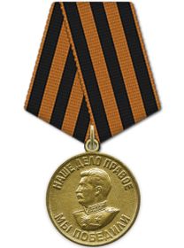 Медаль «За победу над Германией в Великой Отечественной войне 1941–1945 гг.»