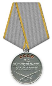 Медаль «За боевые заслуги»