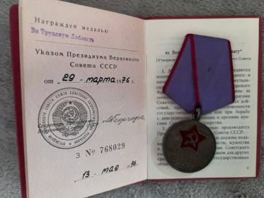 Трудовая Доблесть