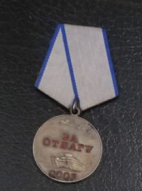 06.05.1945 году был награжден Медалью "За отвагу".