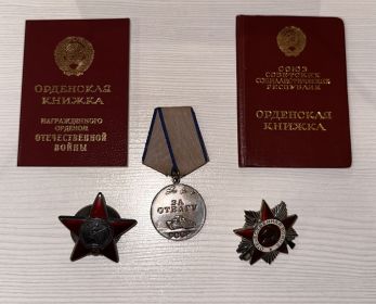 Орден Отечественной Войны II степени, Медаль "За отвагу"; Медаль Красной звезды