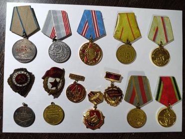 За освобождение Германии, Варшавы, Киева, Сталинграда, за отвагу, за боевые заслуги,за взятие Берлина,