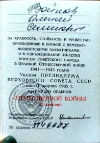 Орден Отечественной войны 2 степени, За победу над Германией.