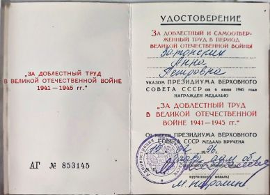 Медаль за доблестный труд в Великой Отечественной Войне