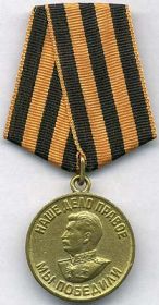 Медаль За Победу над Германией в Великой Отечественной Войне 1941-1945 гг.