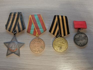 2 ОРДЕНА СЛАВЫ, МЕДАЛЬ ЗА БОЕВЫЕ ЗАСЛУГИ, МЕДАЛЬ ЗА ДОБЛЕСТНЫЙ ТРУД В ВЕЛИКОЙ ОТЕЧЕСТВЕННОЙ ВОЙНЕ 1941-1945 ГГ.,  МЕДАЛЬ ЗА ПОБЕДУ НАД ГЕРМАНИЕЙ В ВЕЛИКОЙ ОТЕЧЕСТВЕННОЙ ВОЙНЕ 1941-1945 ГГ.