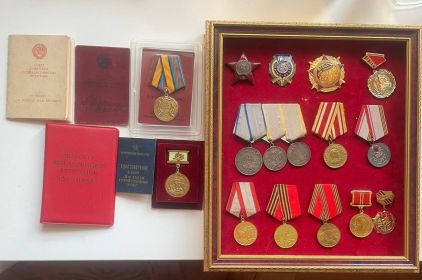 Орден Красной Звезды (2) (2) Медаль «За победу над Германией в Великой Отечественной войне 1941–1945 гг.» (2) Медаль «За победу над Японией» (2) Медаль «За боевые заслуги» (2)  «За отвагу»