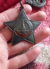 Орден Славы III степени