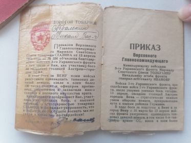Гвардейский значок " Участнику разгрома танковой группы немцев юго-западнее Будапешта в марте 1945г"