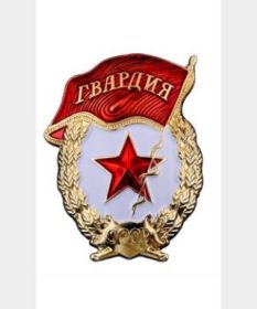 Нагрудный знак "Гвардия"